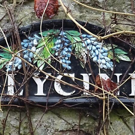 Le Glycine A Manoir Sainte Cecile Apartment Juvigny-Val-d'Andaine ภายนอก รูปภาพ