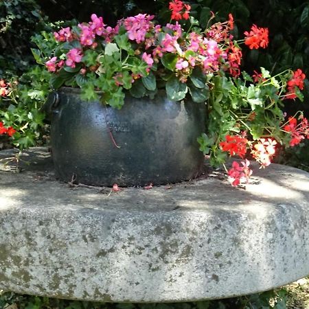 Le Glycine A Manoir Sainte Cecile Apartment Juvigny-Val-d'Andaine ภายนอก รูปภาพ