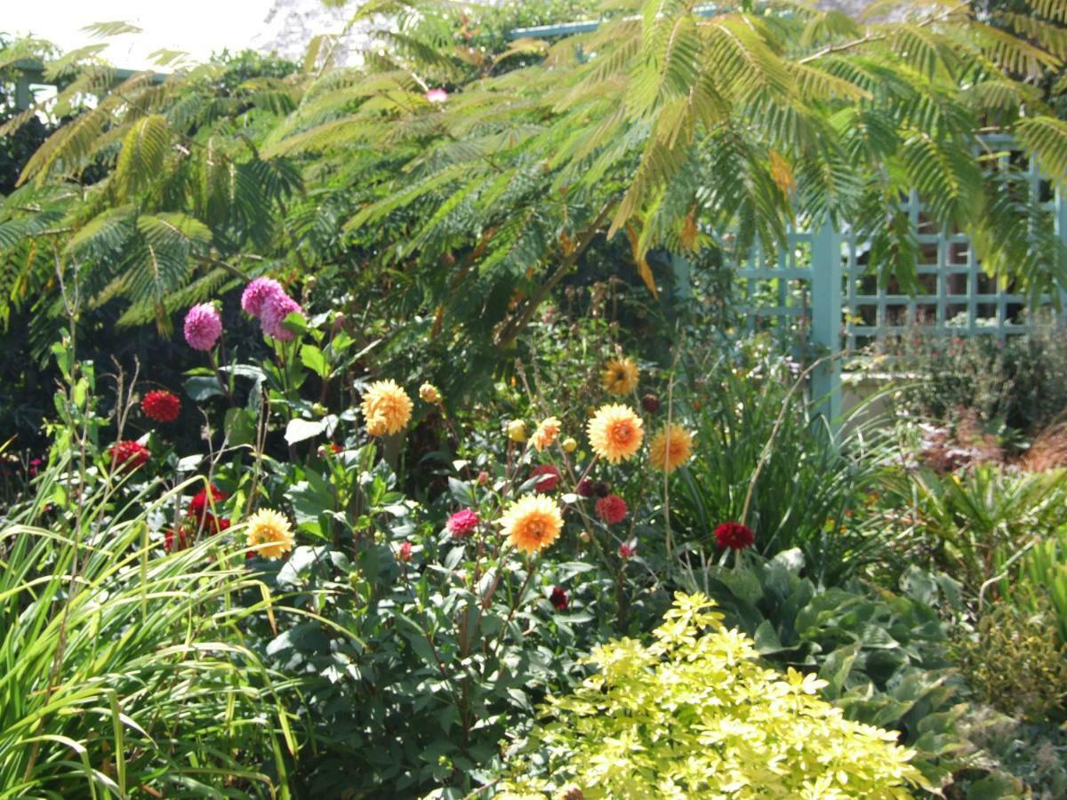 Le Glycine A Manoir Sainte Cecile Apartment Juvigny-Val-d'Andaine ภายนอก รูปภาพ